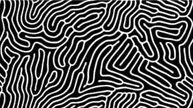 An abstract black and white line illustration.