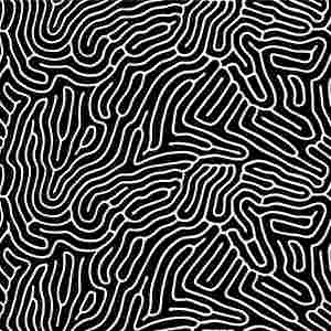 An abstract black and white line illustration. 