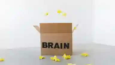 A cardboard box with the word 'BRAIN' written on it in caps. Yellow pieces of paper are flying around it. 