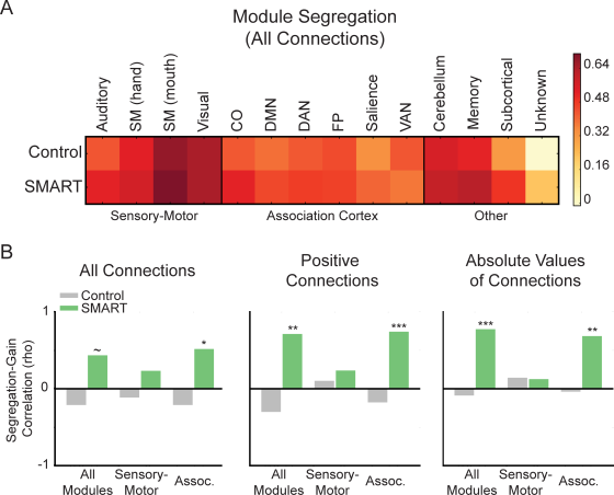 Figure 5. Relationship between module segregation and cognitive changes after SMART. (A) Module segregation for the Control and SMART groups. (B) Correlation between module segregation (all modules, sensory-motor modules, and association cortex modules) and change in performance on the TOSL. Correlations were performed using all network connections (left), only positive network connections (middle), and the absolute values of connections (right). SM, somatomotor; CO, cingulo-opercular; DMN, default mode network; DAN, dorsal attention network; FP, fronto-parietal, VAN, ventral attention network, Assoc., association cortex. ~P ≤ 0.10, *P ≤ 0.05, **P ≤ 0.01, ***P ≤ 0.001.