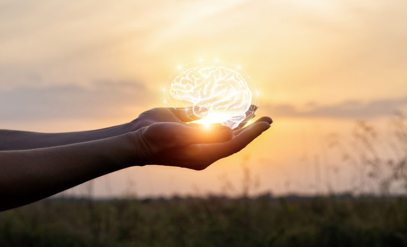 Hands support the brain in the sun. Concept brainstorming idea.