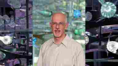 Jeremy Gray, PhD Hero with colorful glass sculpture background. Director of Information Technology.