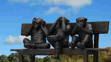 Monkeys on benches.