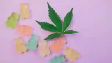 A cannabis leaf currounded by gummy bears