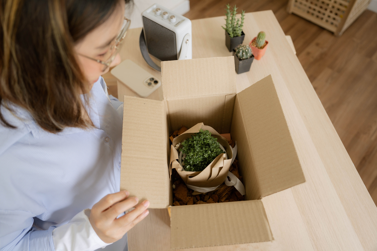 A cheerful young student opens a brown paper box with green succulent plants. 