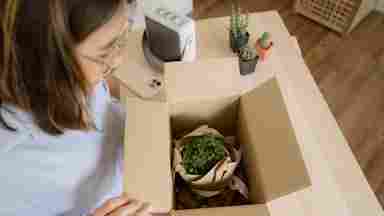 A cheerful young student opens a brown paper box with green succulent plants.