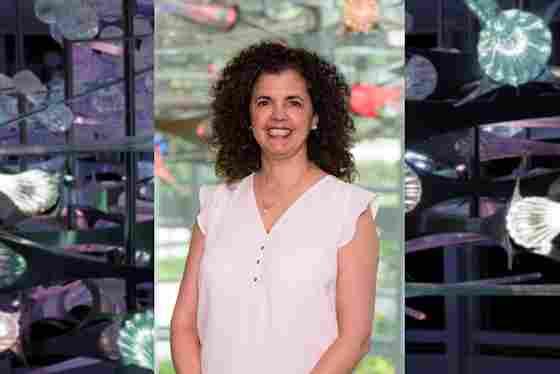 Stephanie Hoefken Hero with colorful glass sculpture background. Director of Communications and Marketing.