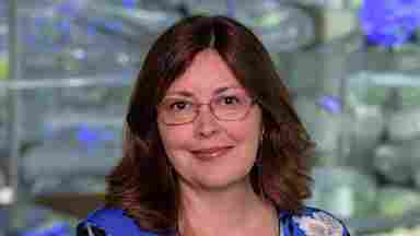 Maria Johnson is wearing a blue, floral blouse with blue lights, portrait. Director of Youth and Family Innovations- hero (?)