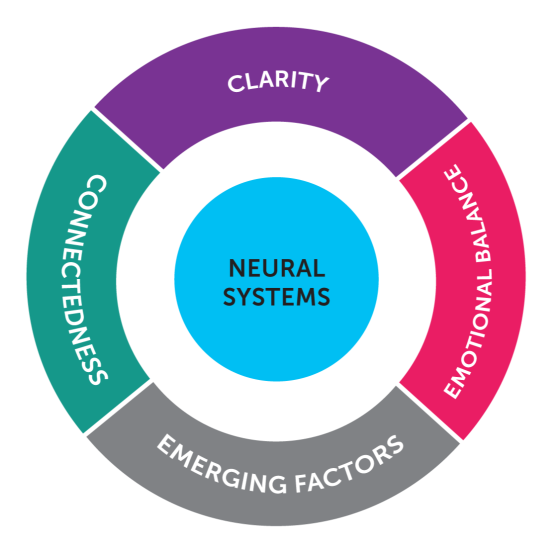 The BrainHealth Index measures how neural systems are affected in multiple areas: clarity, connectedness, emotional balance and emerging factors.