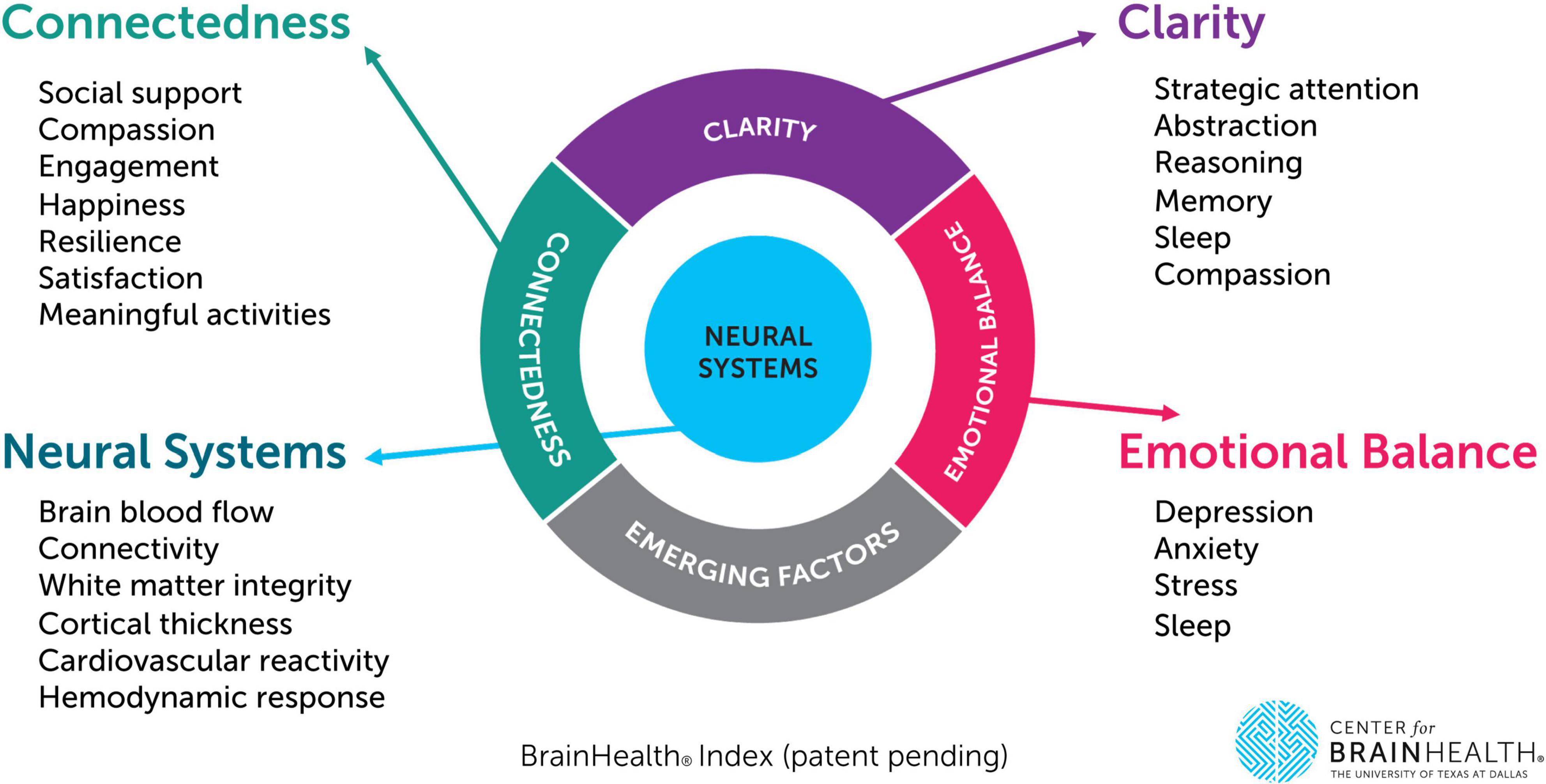 Graphic showing how brain health can be measured, using a metric to measure function of neural systems, as well as clarity, connectedness and emotional balance. 