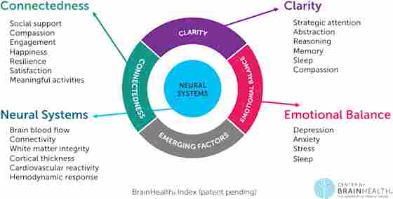 Graphic showing how brain health can be measured, using a metric to measure function of neural systems, as well as clarity, connectedness and emotional balance.
