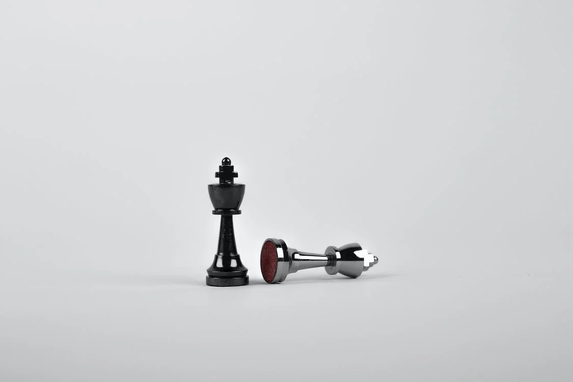 Two chess pieces, one black one white