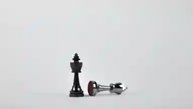 Two chess pieces, one black one white