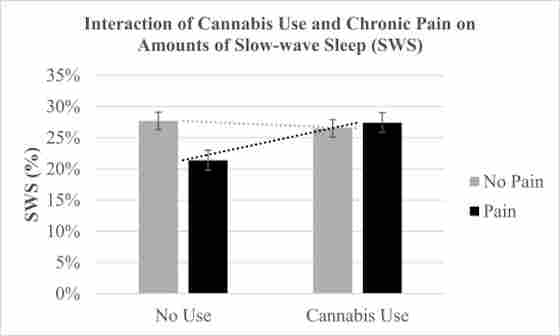 Figure 1. The interaction of regular cannabis use and chronic pain on the percentage of slow-wave sleep (SWS). The mean (SE) values were 27.41% (.02) for chronic pain and cannabis use, 26.49% (.01) for no pain and cannabis use, 27.68% (.01) for no pain and no cannabis use, and 21.41% (.02) for chronic pain and no cannabis use.
