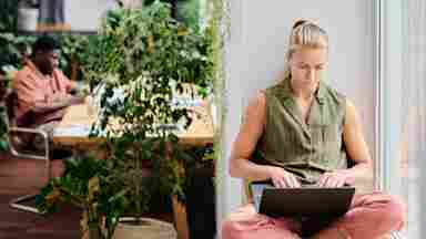 Young professionals work in a sunlit communal office space with large windows and plants.