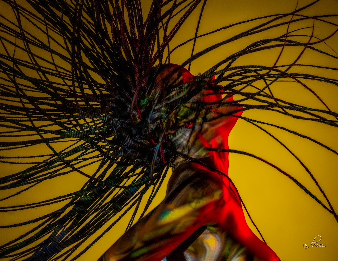 Freestyle, Johnson Price: Digital photograph of a young Black woman (featured at Neuroscapes art event during BrainHealth Week 2025 in Dallas, Texas).