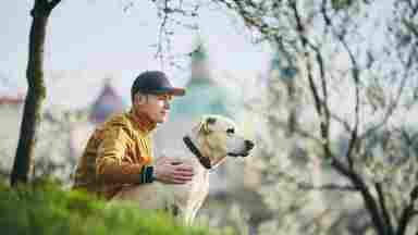 A relaxed young man is with a dog on the grass in a public park located in Prague, Czech Republic. Happy, content, in nature.