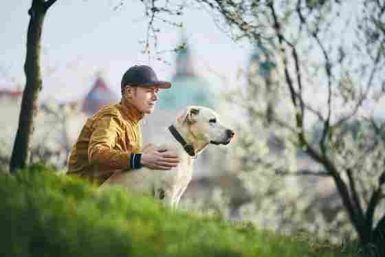 A relaxed young man is with a dog on the grass in a public park located in Prague, Czech Republic. Happy, content, in nature.