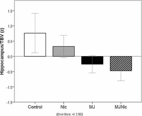 Figure 1 shows that the combined effect of both marijuana and nicotine was associated with the smallest hippocampal volume among participants.