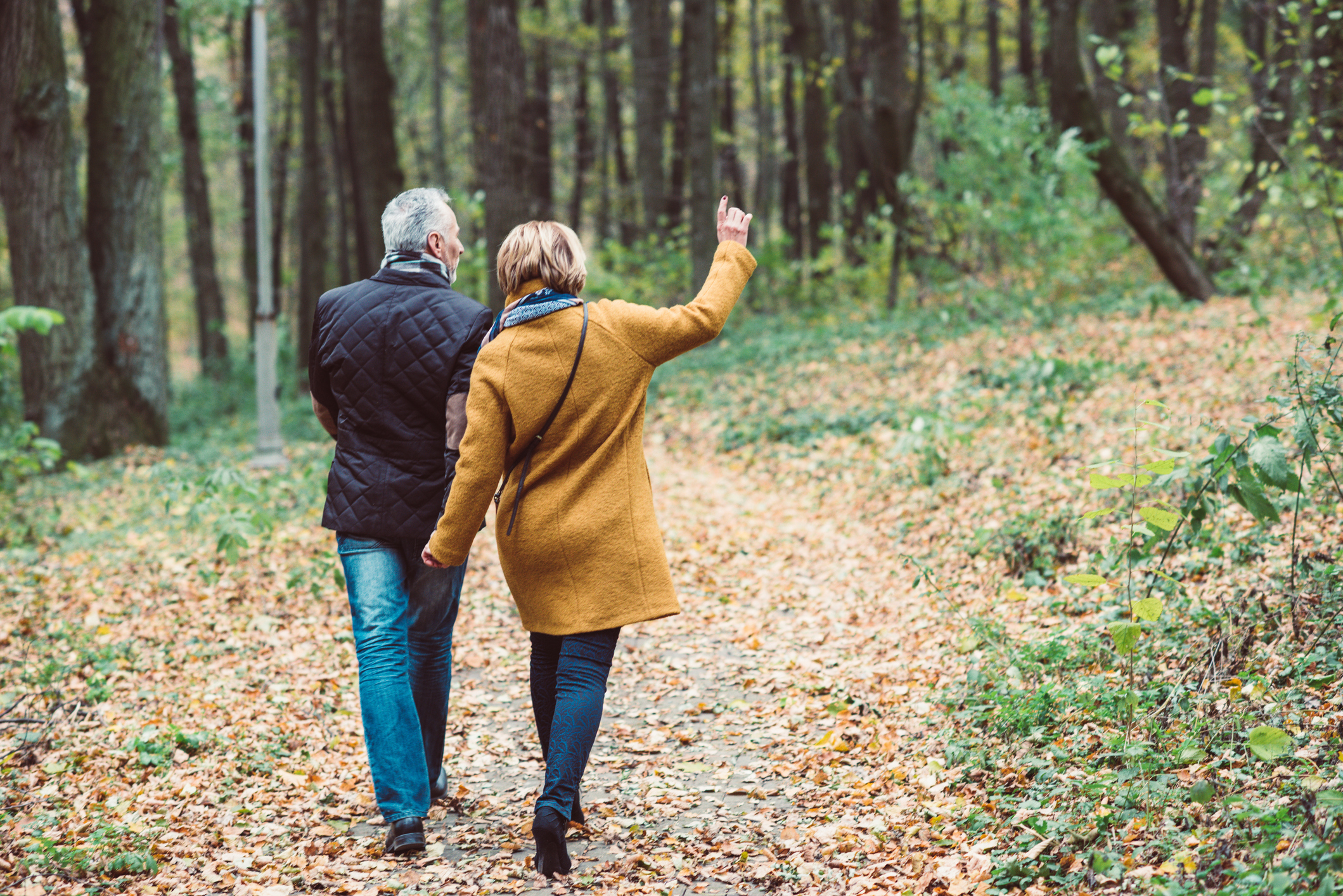 A couple walks in a park in autumn.

