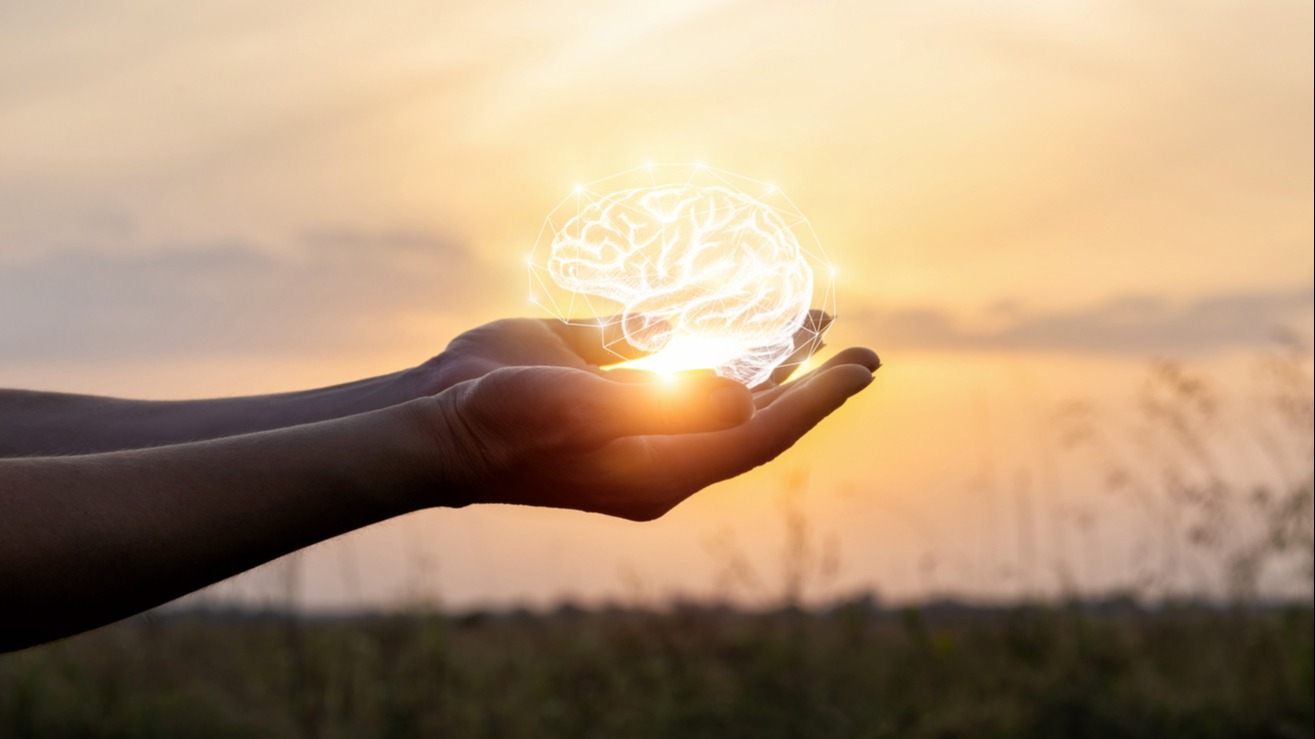 Hands support the brain in the sun. Concept brainstorming idea.