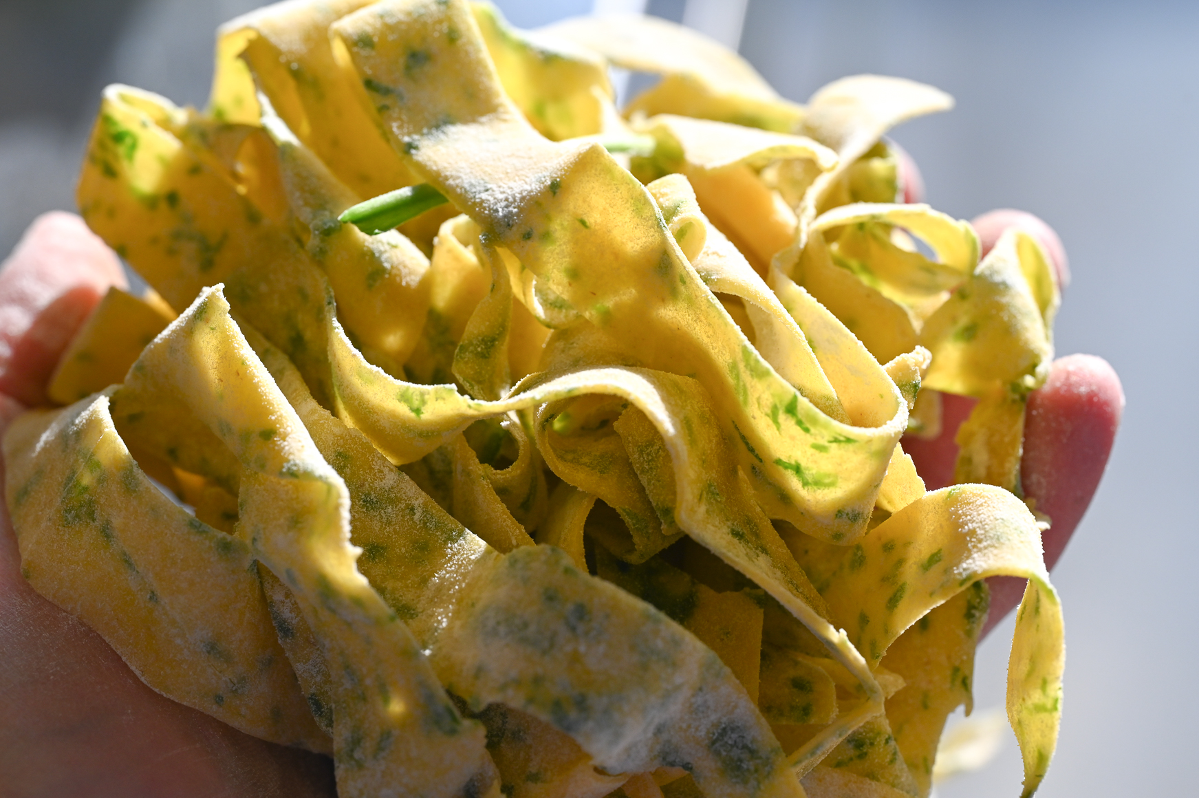 Schritt 4: Die fertigen Teigblätter zusammenrollen und von Hand mit einem scharfen Messer zu zirka 12 mm breiten Pappardelle schneiden.
