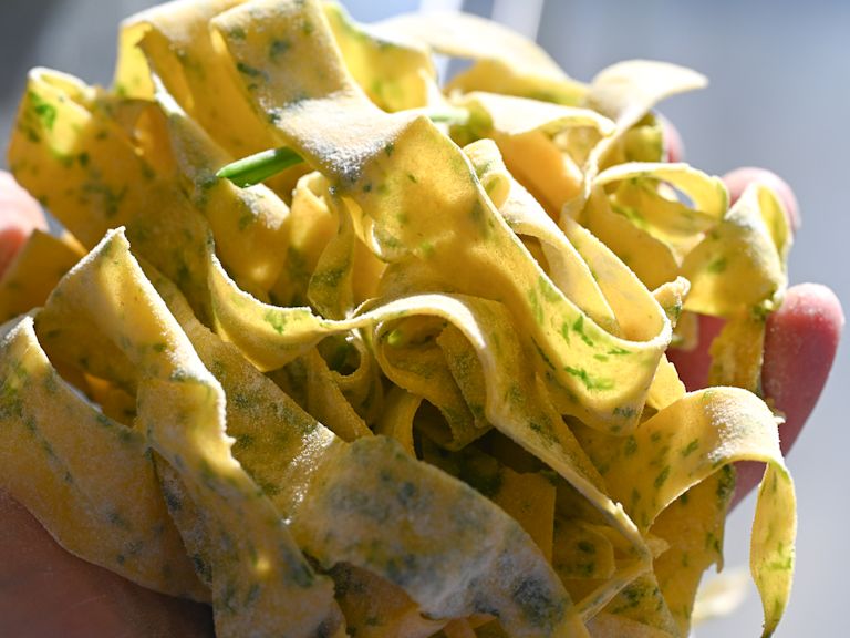 Schritt 4: Die fertigen Teigblätter zusammenrollen und von Hand mit einem scharfen Messer zu zirka 12 mm breiten Pappardelle schneiden. Schritt 4: Die fertigen Teigblätter zusammenrollen und von Hand mit einem scharfen Messer zu zirka 12 mm breiten Pappardelle schneiden.