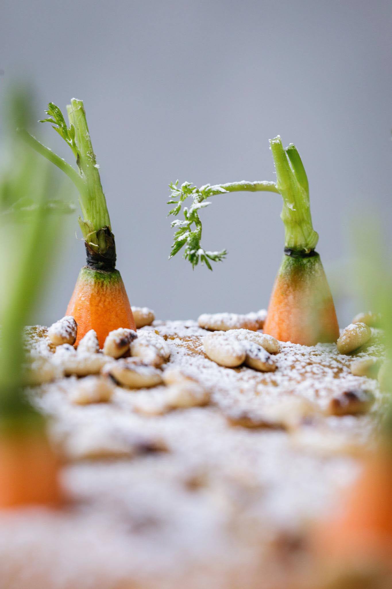 Venezianischer Rüeblicake glutenfrei Rezept 2