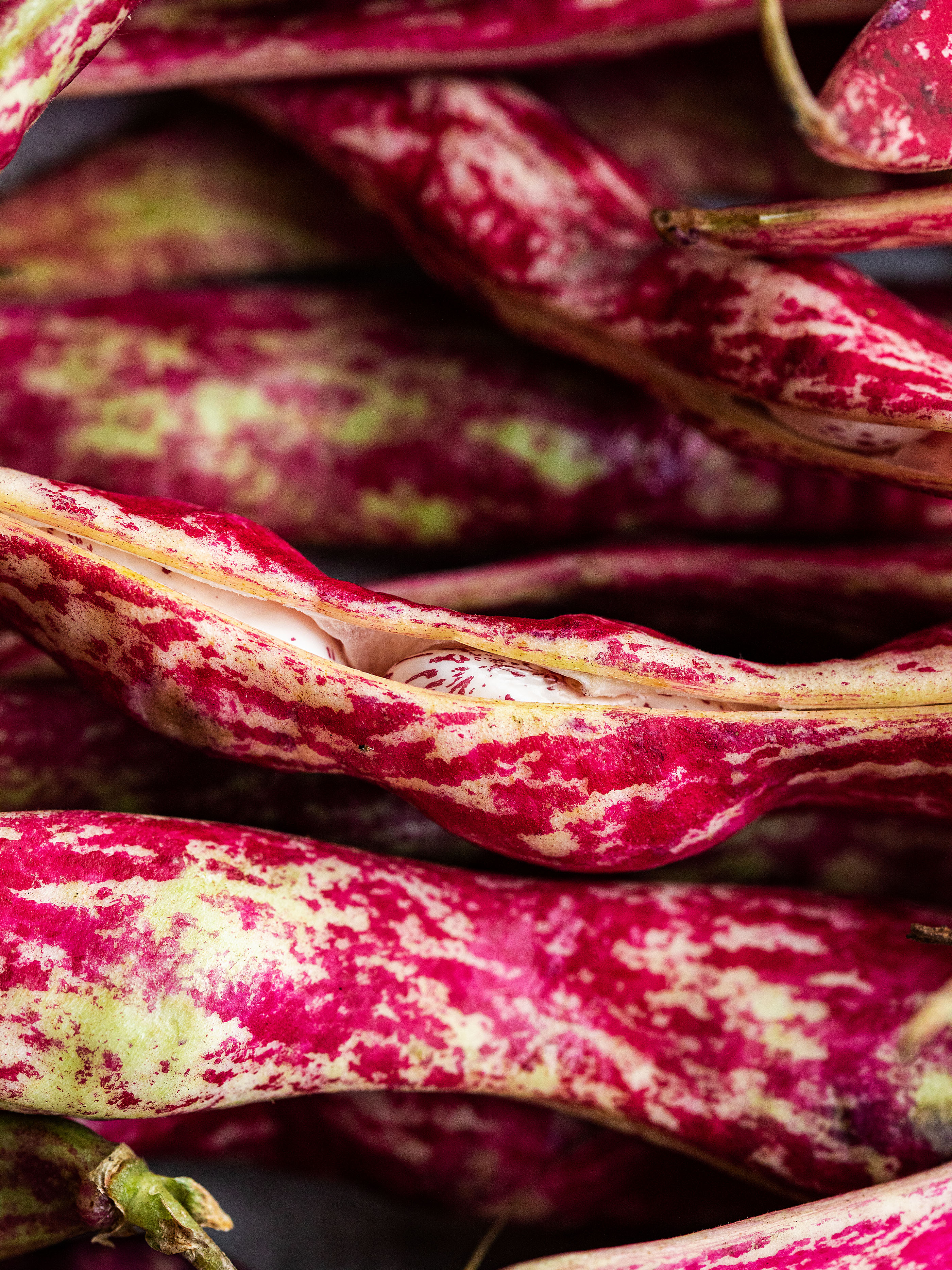 Toskanische Bohnensuppe Rezept 3