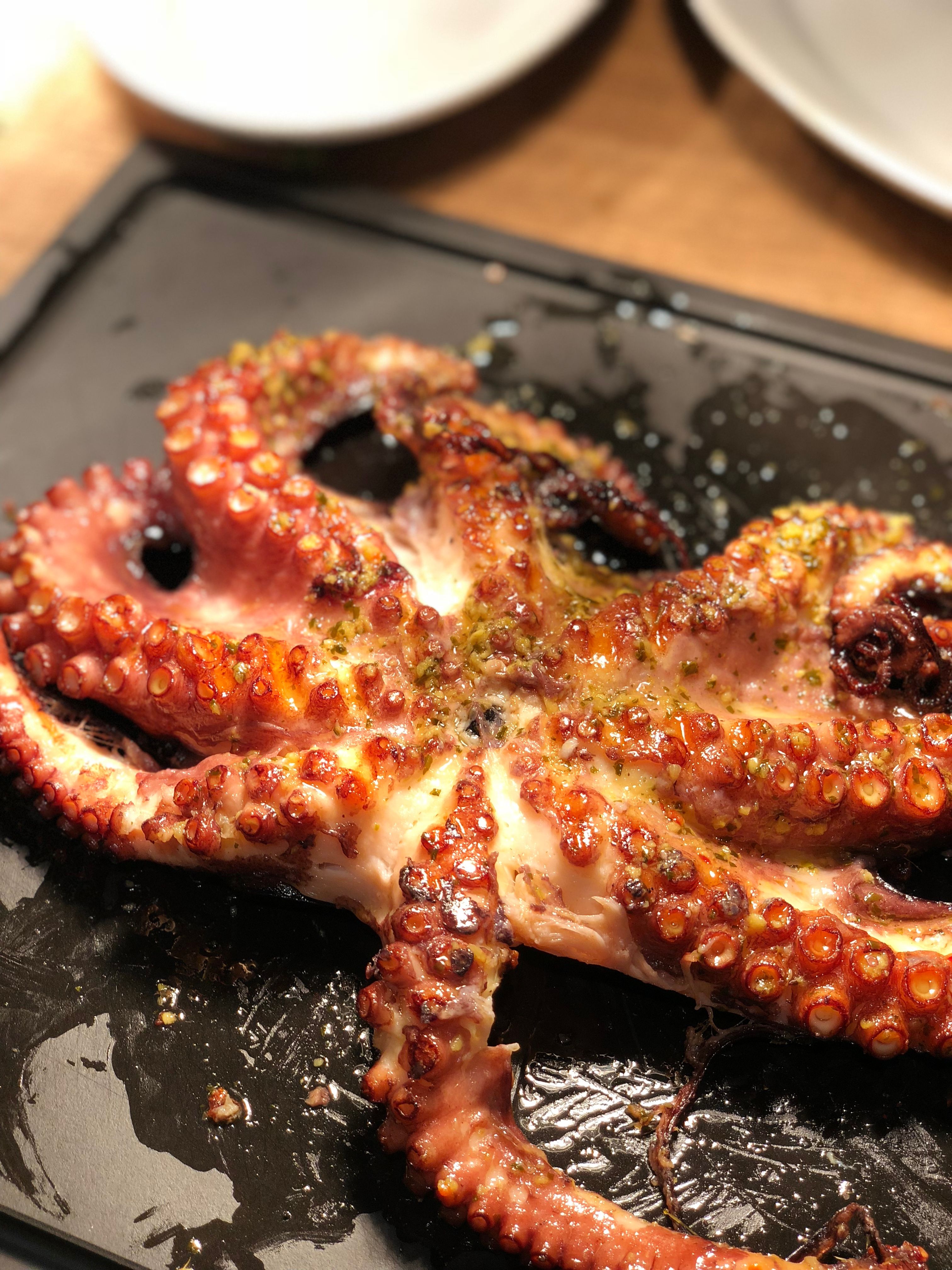 Grillierter Oktopus mit Radicchio Rezept 1