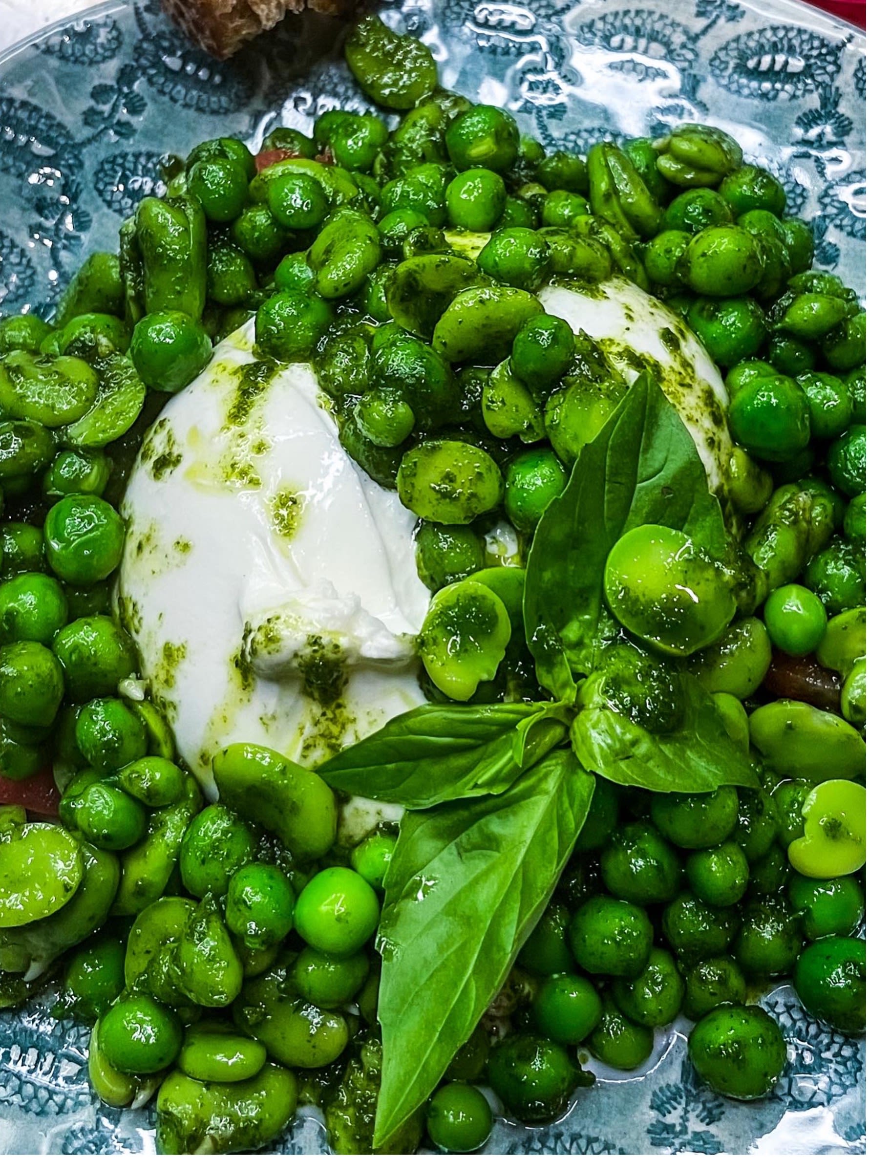 Burrata mit frischen Gartenerbsen, Fave-Bohnen und Basilikumöl Rezept
