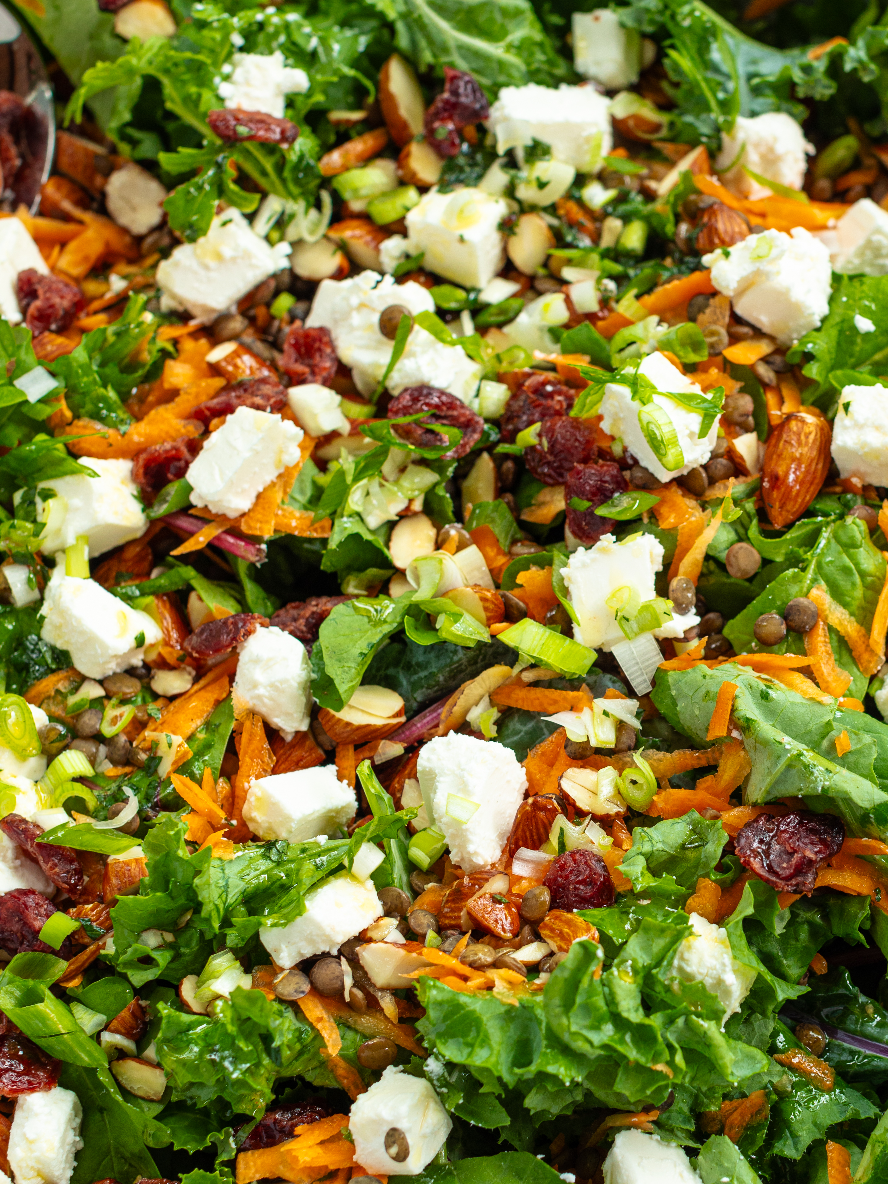 230926 Linsen Salat 3x4 Galerie3