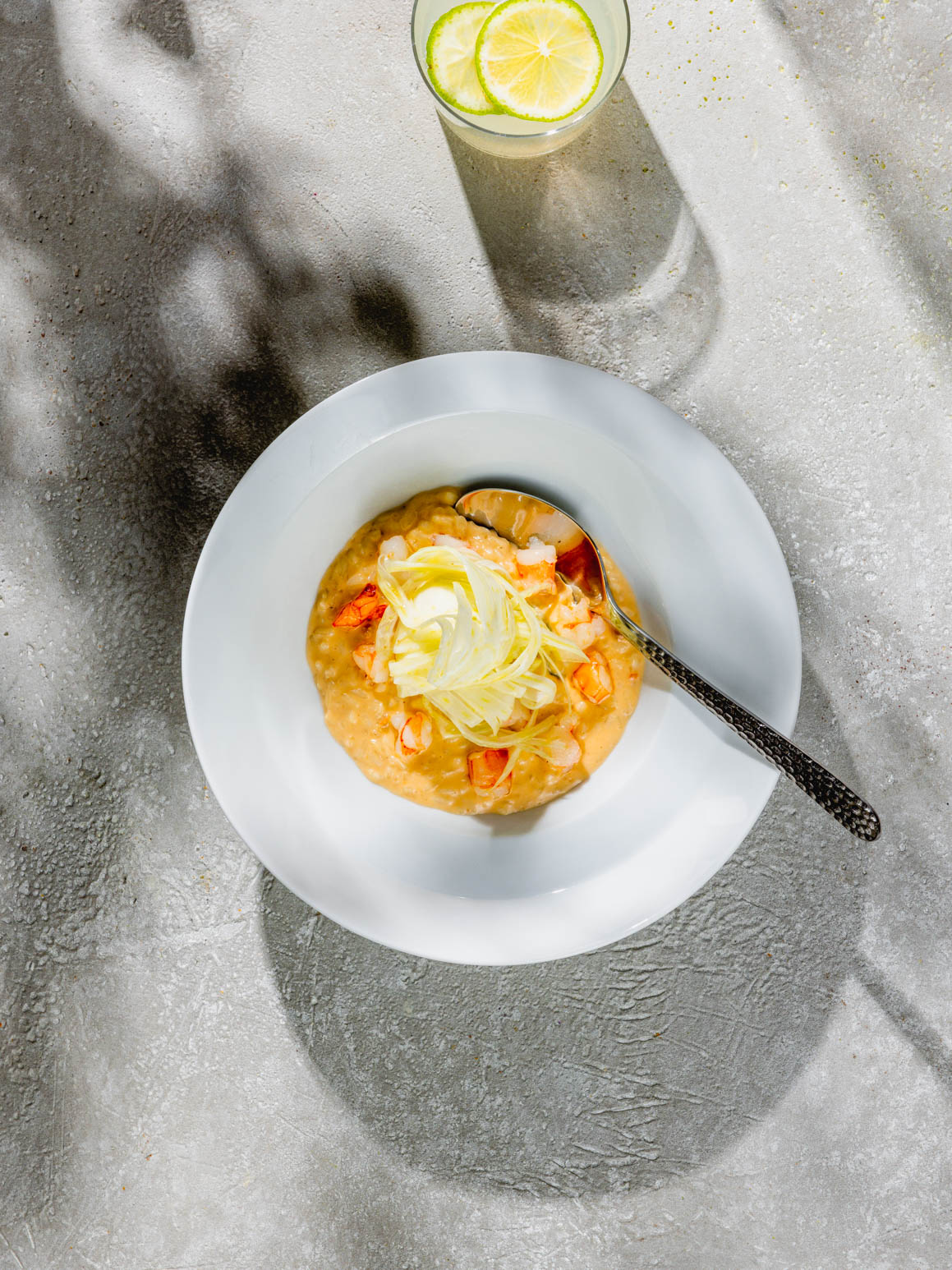 Krustentier-Risotto mit Swiss Shrimps und Fenchel Rezept