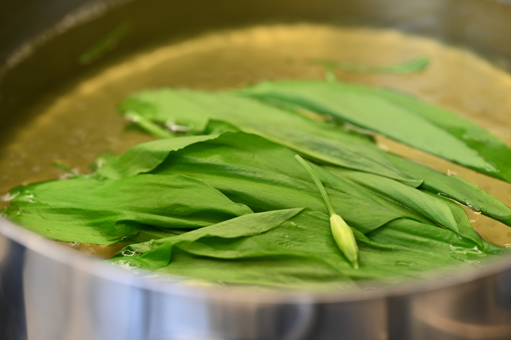 Schritt 1: Den Bärlauch 15 Sekunden in kochendem Wasser blanchieren