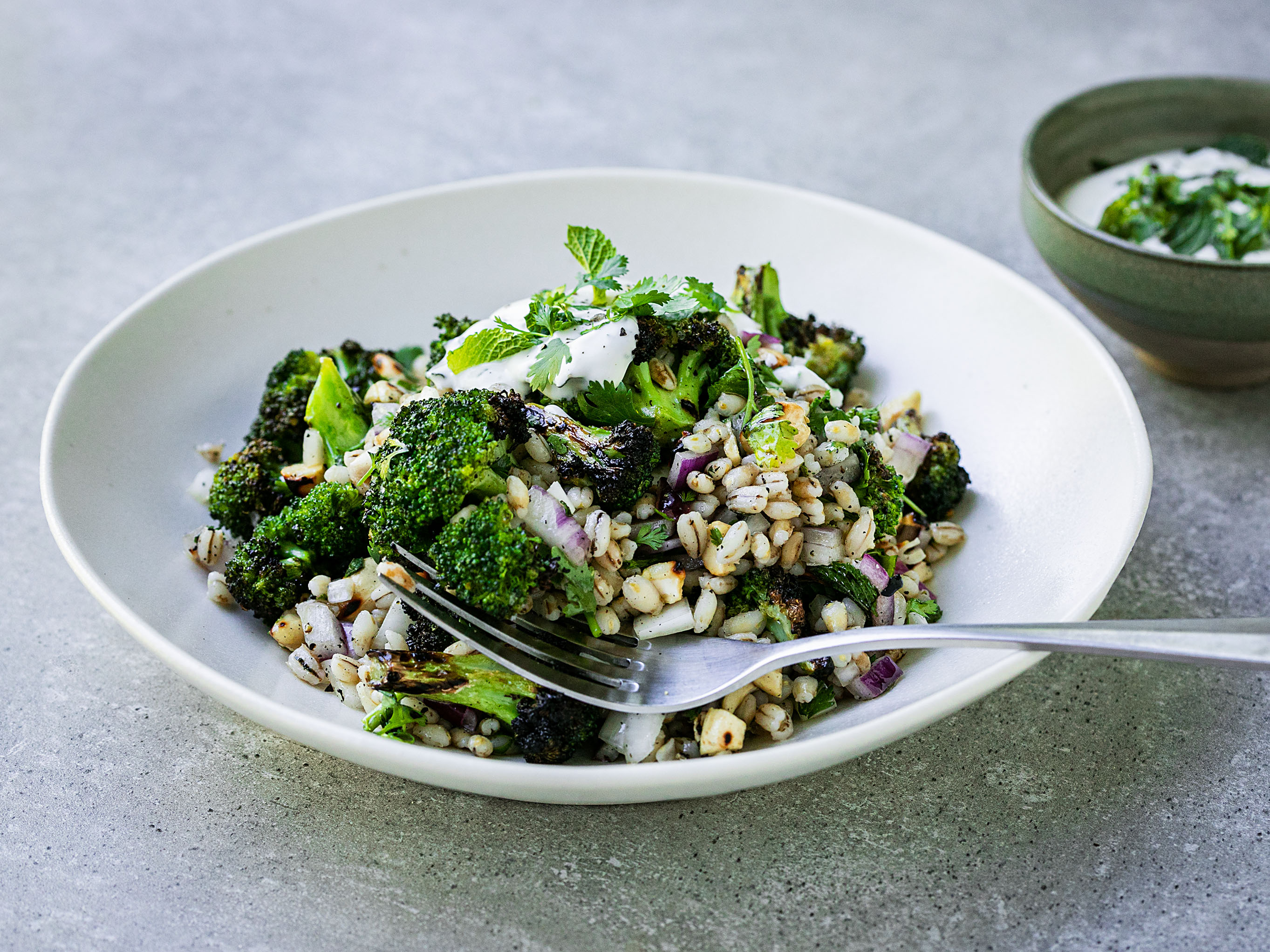 Schritt 3: Zum Servieren die Getreide-Gemüse-Mischung auf die Teller verteilen und mit dem Joghurt-Dressing anrichten