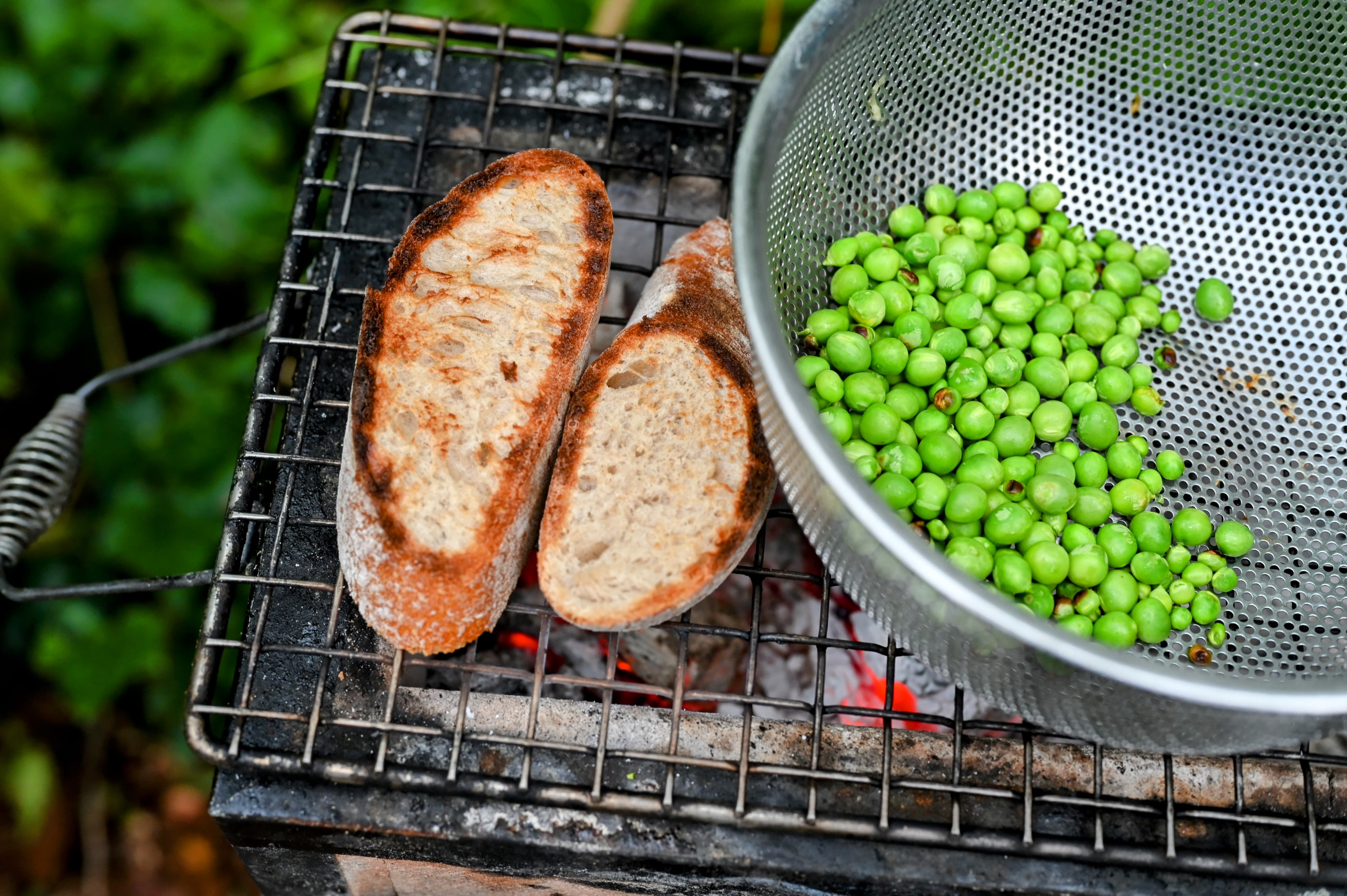 Schritt 2: Die ausgelösten Erbsen in einem flachen Sieb auf den Grillrost legen, einige Minuten grillieren, ab und zu schütteln. Die Brotscheiben rösten.