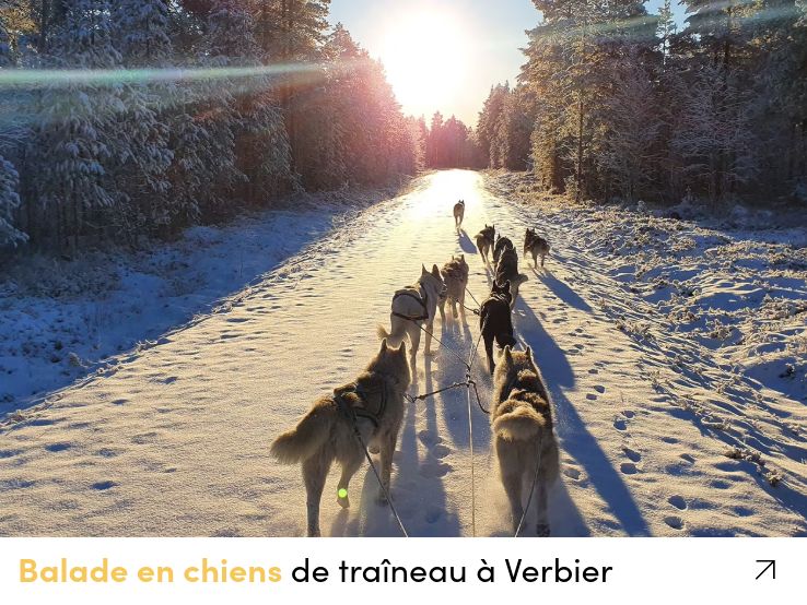 Balade en chines de traîneau à Verbier 