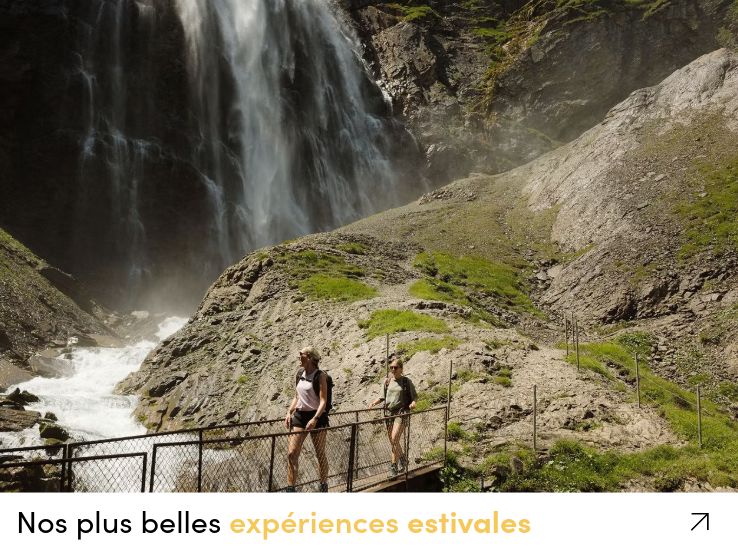 Nos plus belles expériences estivales Nos plus belles expériences estivales
