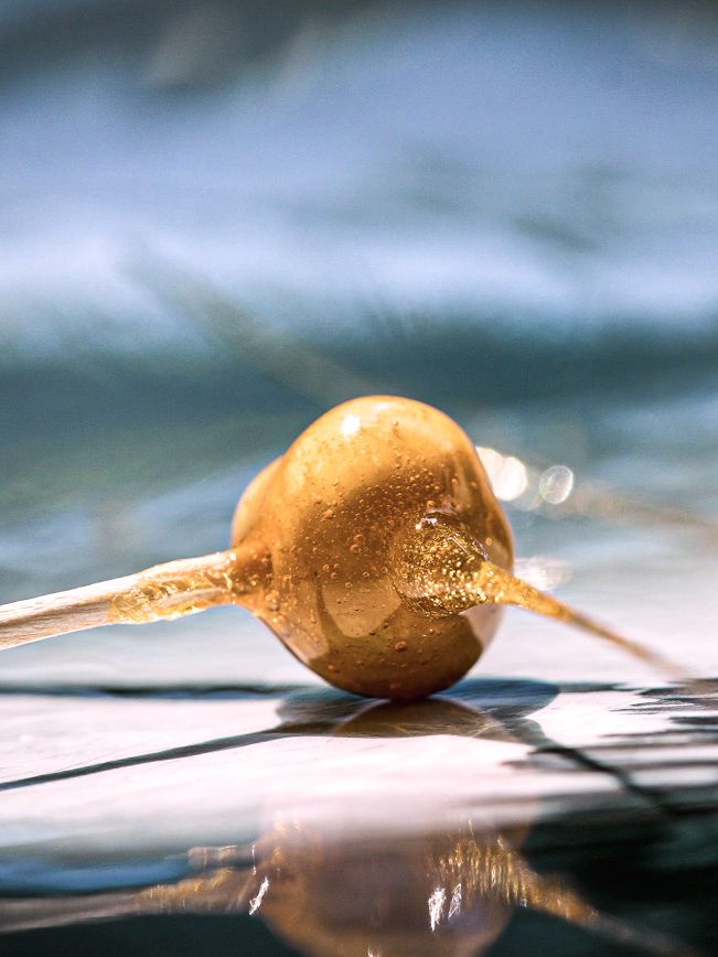 How To: Haselnüsse einfach karamellisieren How To: Haselnüsse einfach karamellisieren