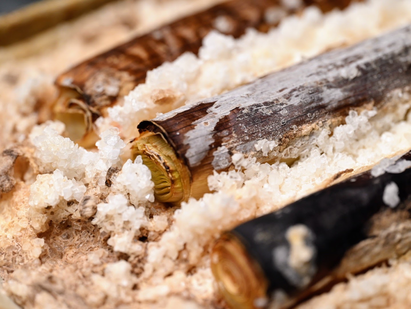 Schritt 1: Lauch für Lauchherzen mit schwarzem Trüffel  im Ofen mit Meersalz-Gitter zubereiten