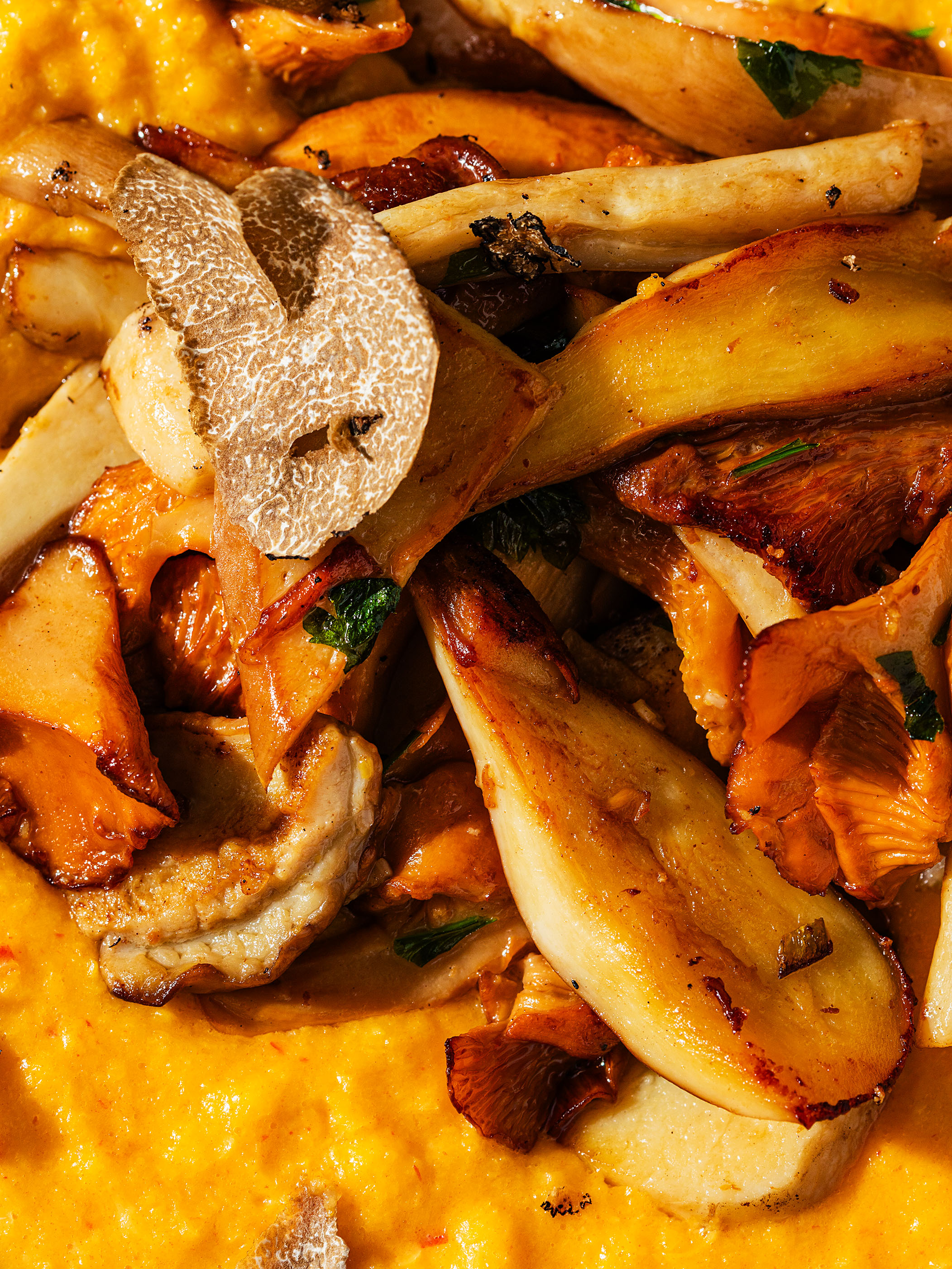 Goldene Polenta mit Steinpilzen und Trüffeln Rezept