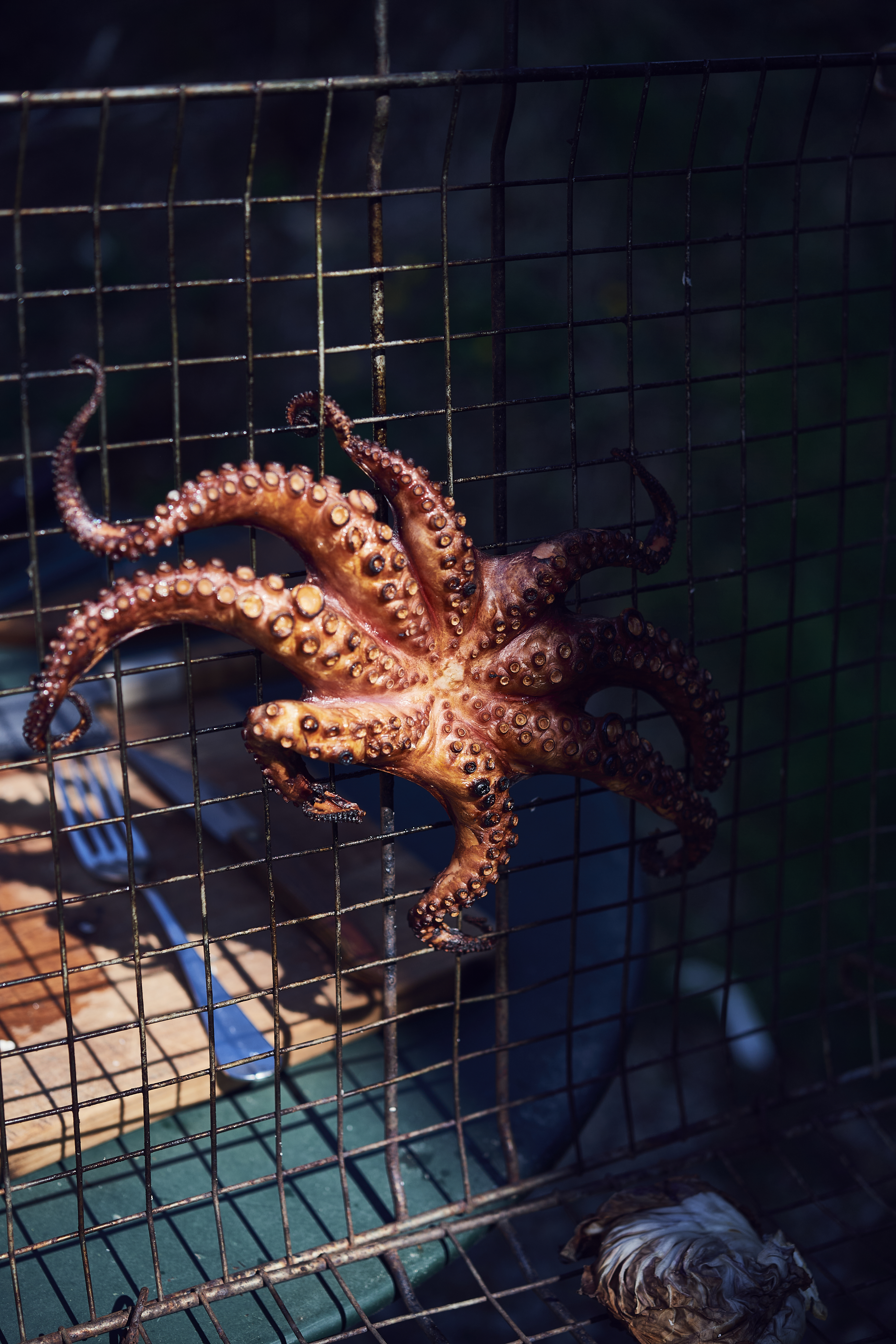 Schritt 3: Den Oktopus und die halbierte Orange auf den heissen Grill legen oder in einen Grillkorb einspannen