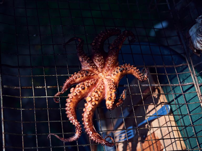 Schritt 3: Den Oktopus und die halbierte Orange auf den heissen Grill legen oder in einen Grillkorb einspannen Schritt 3: Den Oktopus und die halbierte Orange auf den heissen Grill legen oder in einen Grillkorb einspannen