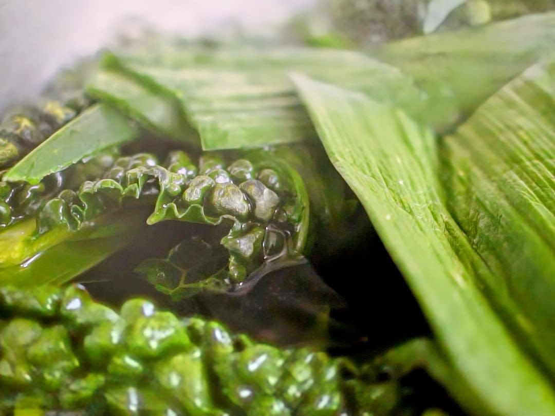 Schritt 1: Grüne Bouillon für Risotto Verdissimo zubereiten 