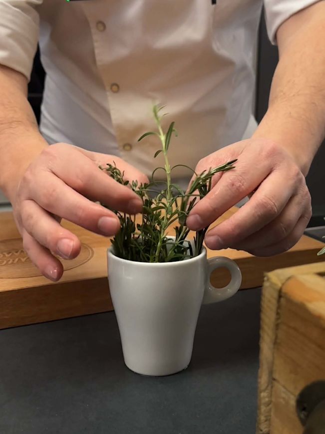 Kräuter frisch halten Kräuter frisch halten