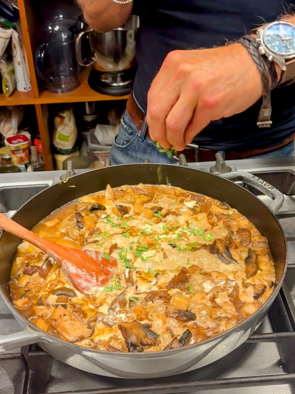 Pilz Ragout Rezept 