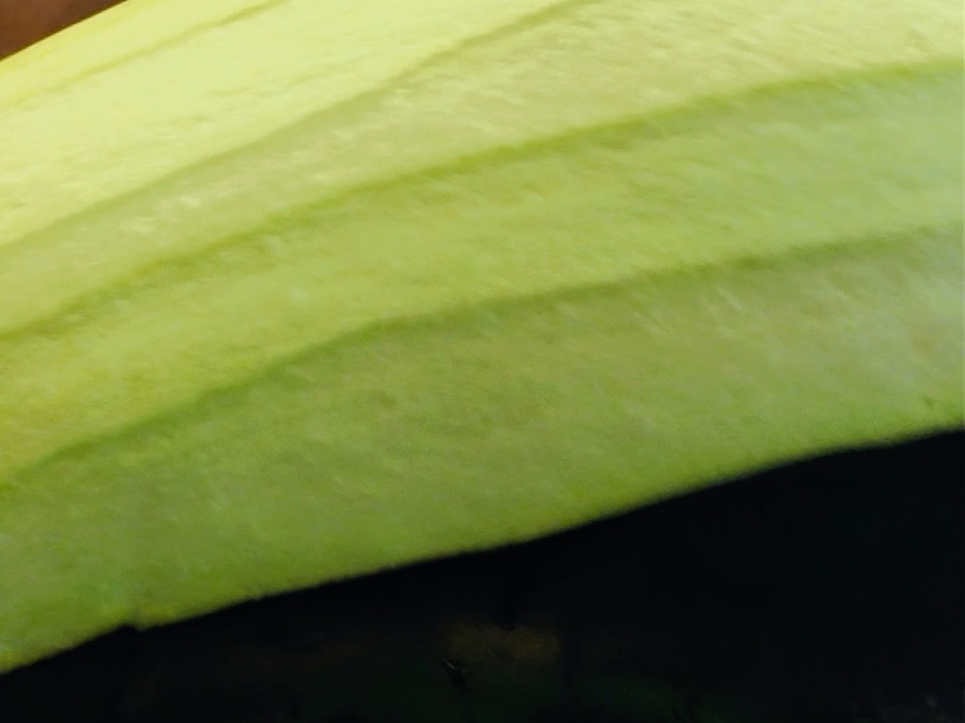 Schritt 1: Aubergine für Miso-glasierte Aubergine dämpfen