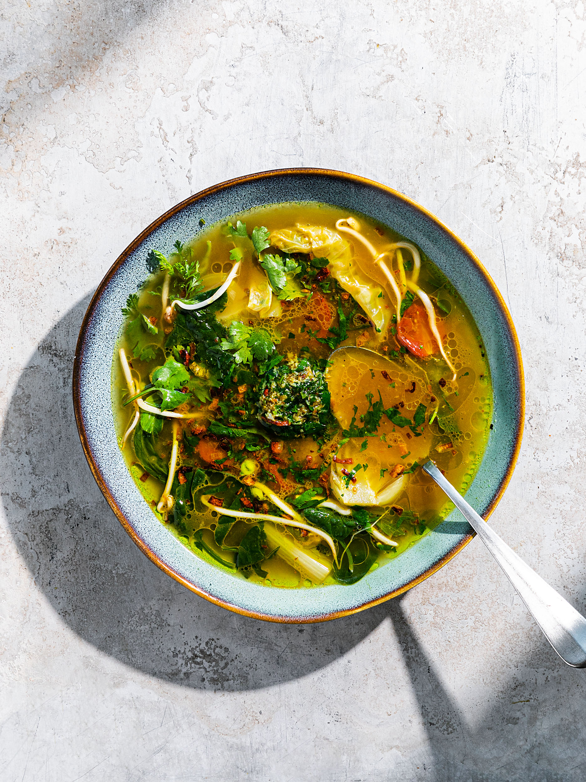 Suppen-Zauberkugel mit Gemüse Rezept 5
