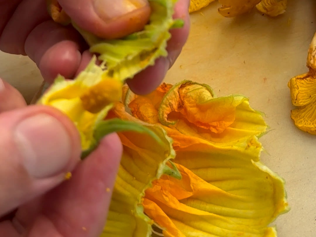 Schritt 2: Zucchiniblüten vorbereiten