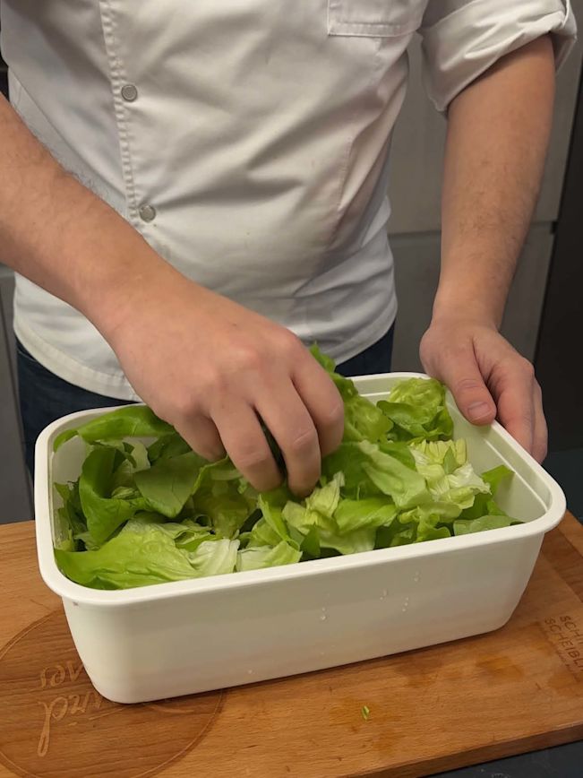 Salat frisch & knackig aufbewahren Salat frisch & knackig aufbewahren